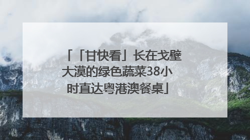 「甘快看」长在戈壁大漠的绿色蔬菜38小时直达粤港澳餐桌