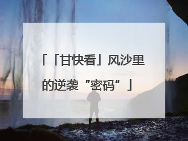「甘快看」风沙里的逆袭“密码”