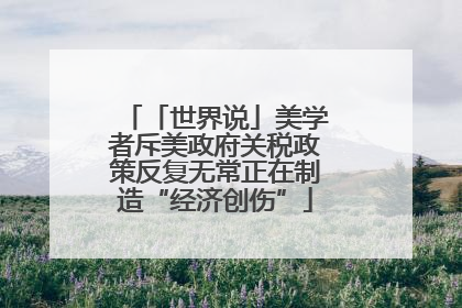 「世界说」美学者斥美政府关税政策反复无常正在制造“经济创伤”