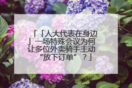 「人大代表在身边」一场特殊会议为何让多位外卖骑手主动“放下订单”？