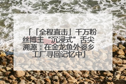 「全程直击」千万粉丝博主“沉浸式”舌尖溯源：在金龙鱼外婆乡工厂寻回记忆中