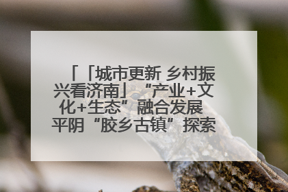 「城市更新 乡村振兴看济南」“产业+文化+生态”融合发展 平阴“胶乡古镇”探索振兴路径成效显著