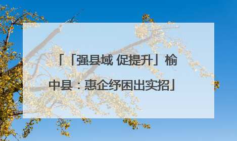 「强县域 促提升」榆中县：惠企纾困出实招