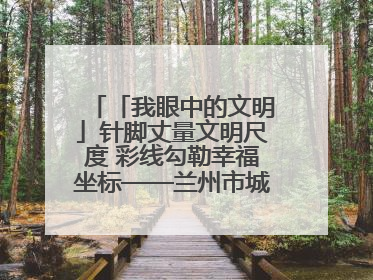 「我眼中的文明」针脚丈量文明尺度 彩线勾勒幸福坐标——兰州市城关区酒泉路街道办事处
