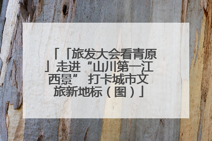 「旅发大会看青原」走进“山川第一江西景” 打卡城市文旅新地标（图）