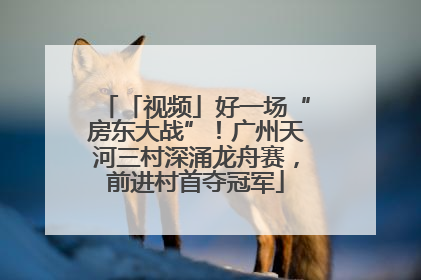 「视频」好一场“房东大战”！广州天河三村深涌龙舟赛，前进村首夺冠军