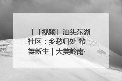 「视频」汕头东湖社区：乡愁归处 希望新生｜大美岭南·百村焕新记