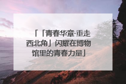 「青春华章·重走西北角」闪耀在博物馆里的青春力量