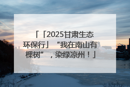 「2025甘肃生态环保行」“我在南山有棵树”，染绿凉州！