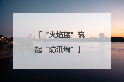 “火焰蓝”筑起“防汛墙”
