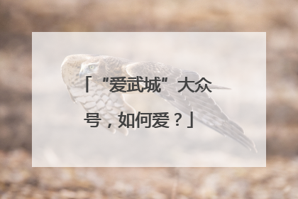 “爱武城”大众号，如何爱？
