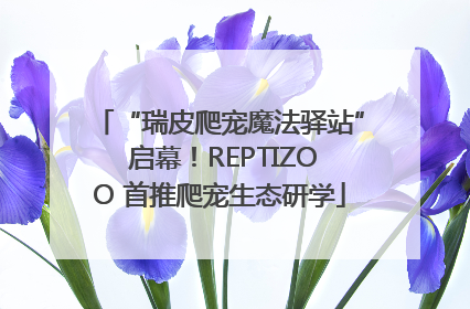 “瑞皮爬宠魔法驿站” 启幕！REPTIZOO 首推爬宠生态研学