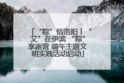 “粽”情洛阳丨“艾”在伊滨 “粽”享露营 端午主题文明实践活动启动