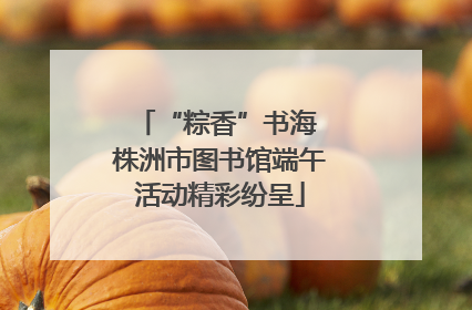 “粽香”书海 株洲市图书馆端午活动精彩纷呈