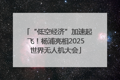 “低空经济”加速起飞！杨浦亮相2025世界无人机大会