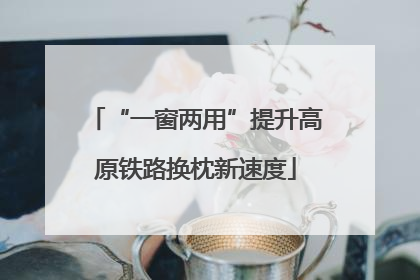 “一窗两用”提升高原铁路换枕新速度