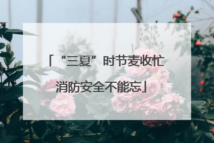 “三夏”时节麦收忙 消防安全不能忘