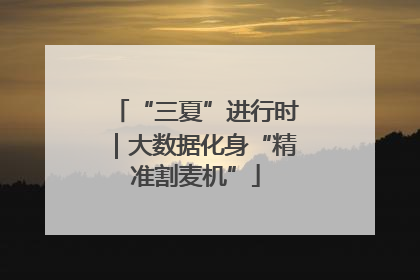 “三夏”进行时｜大数据化身“精准割麦机”