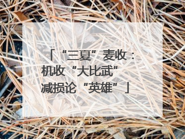 “三夏”麦收：机收“大比武” 减损论“英雄”