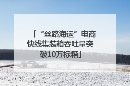 “丝路海运”电商快线集装箱吞吐量突破10万标箱