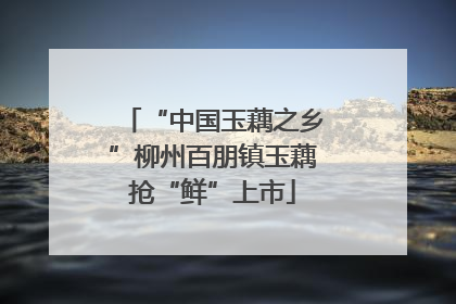 “中国玉藕之乡”柳州百朋镇玉藕抢“鲜”上市