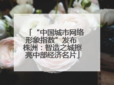“中国城市网络形象指数”发布 株洲：智造之城擦亮中部经济名片