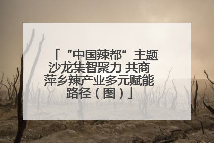 “中国辣都”主题沙龙集智聚力 共商萍乡辣产业多元赋能路径（图）