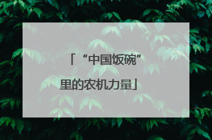 “中国饭碗”里的农机力量