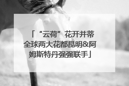 “云荷”花开并蒂 全球两大花都昆明&阿姆斯特丹强强联手