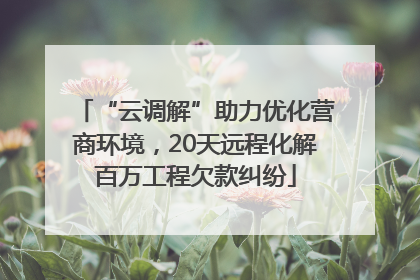 “云调解”助力优化营商环境，20天远程化解百万工程欠款纠纷
