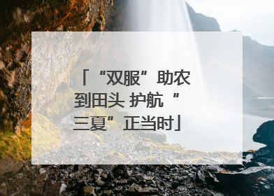 “双服”助农到田头 护航“三夏”正当时