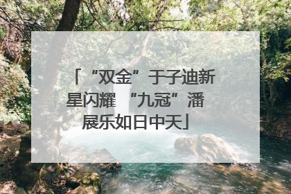 “双金”于子迪新星闪耀 “九冠”潘展乐如日中天