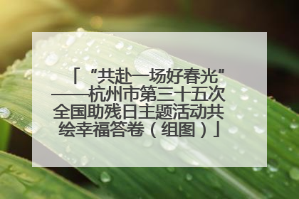 “共赴一场好春光”——杭州市第三十五次全国助残日主题活动共绘幸福答卷（组图）