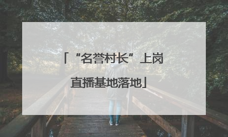 “名誉村长”上岗 直播基地落地