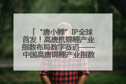 “唐小鲤”IP全球首发！高唐携锦鲤产业指数布局数字赛道——中国高唐锦鲤产业指数暨“唐小鲤”IP全球首发仪式在杭州举行