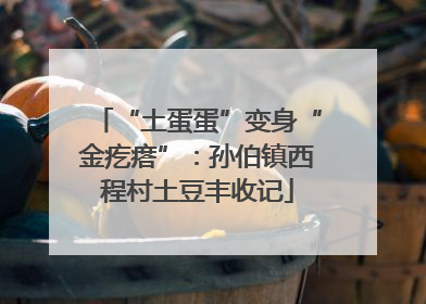 “土蛋蛋”变身“金疙瘩”：孙伯镇西程村土豆丰收记