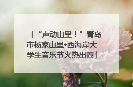 “声动山里！”青岛市杨家山里•西海岸大学生音乐节火热出圈