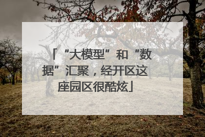 “大模型”和“数据”汇聚，经开区这座园区很酷炫