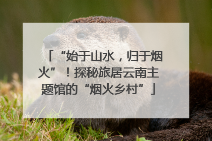 “始于山水，归于烟火”！探秘旅居云南主题馆的“烟火乡村”