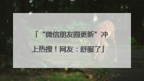 “微信朋友圈更新”冲上热搜！网友：舒服了