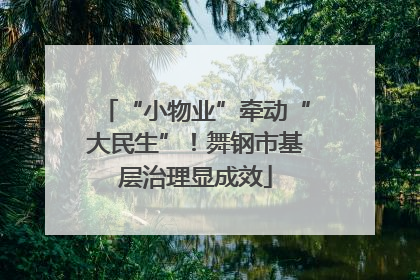 “小物业”牵动“大民生”！舞钢市基层治理显成效