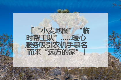 “小麦地图”“临时帮工队”……暖心服务吸引农机手慕名而来“远方的家”