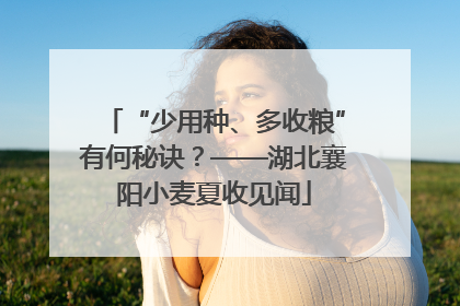 “少用种、多收粮”有何秘诀？——湖北襄阳小麦夏收见闻