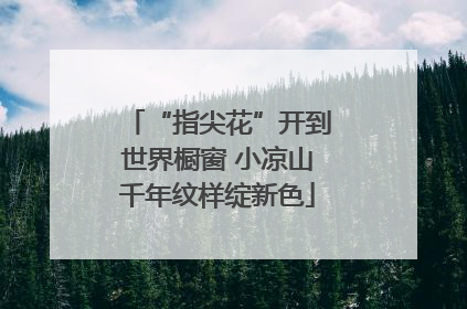 “指尖花”开到世界橱窗 小凉山千年纹样绽新色