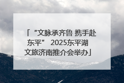 “文脉承齐鲁 携手赴东平” 2025东平湖文旅济南推介会举办