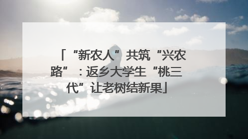 “新农人”共筑“兴农路”：返乡大学生“桃三代”让老树结新果