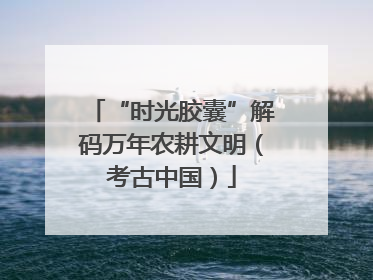 “时光胶囊”解码万年农耕文明（考古中国）