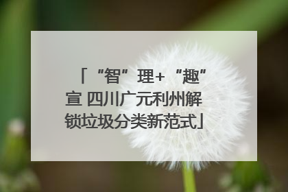 “智”理+“趣”宣 四川广元利州解锁垃圾分类新范式