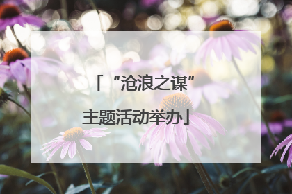 “沧浪之谋”主题活动举办