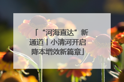 “河海直达”新通道丨小清河开启降本增效新篇章